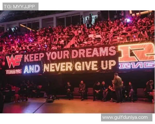 esports数据RNG职业联赛的奋斗历程与荣耀背后的不屈精神